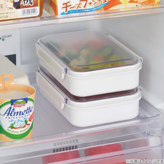 まるごと冷凍弁当箱(650ml) 3枚目画像