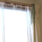 断熱カーテンライナー(CL100X225X2) 1枚目画像