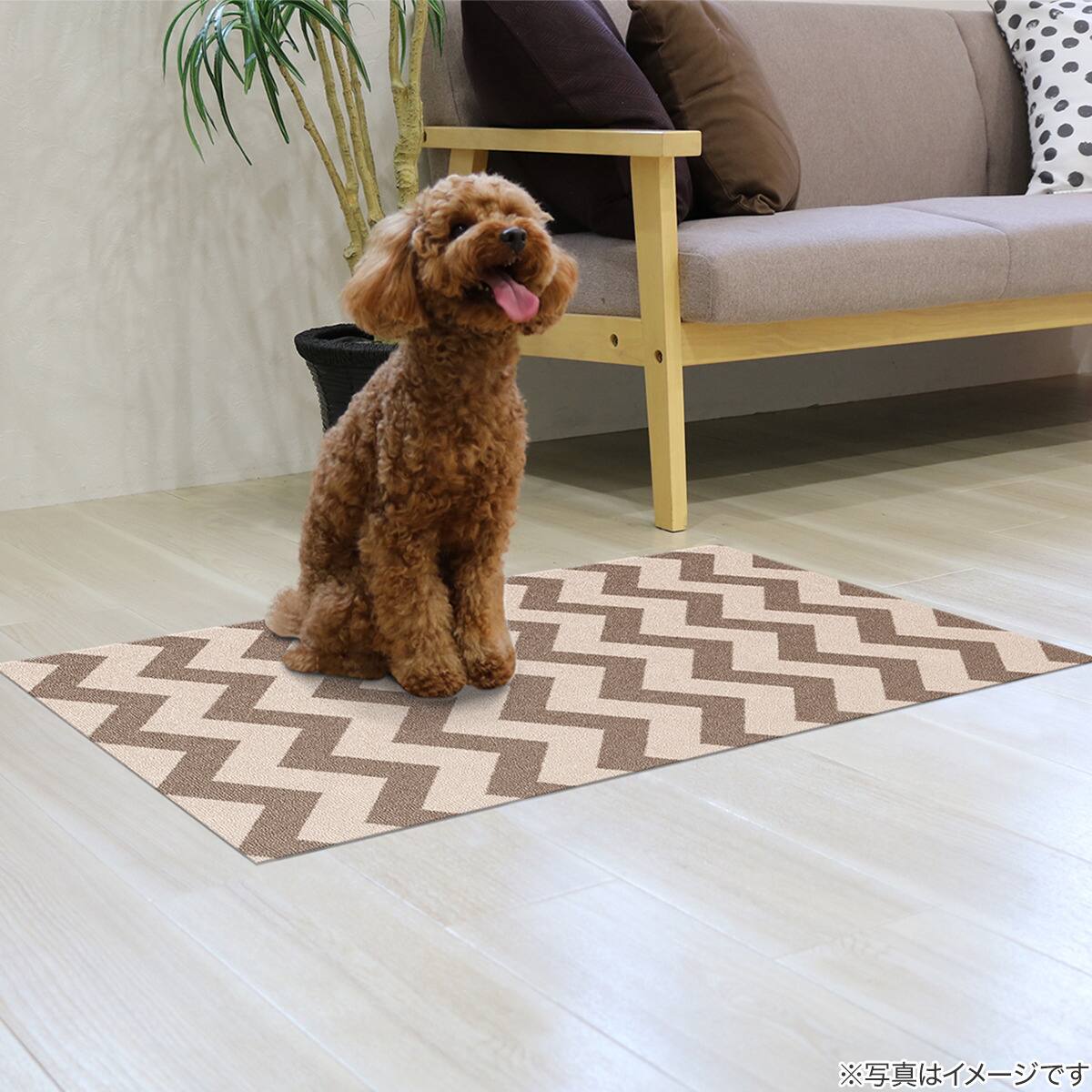 消臭防水シーツ(60×90cm シェブロン) | ニトリネット【公式】 家具