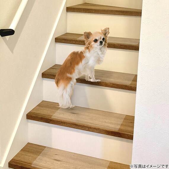 透明階段マット 40×20cm (15枚入り) 2枚目画像