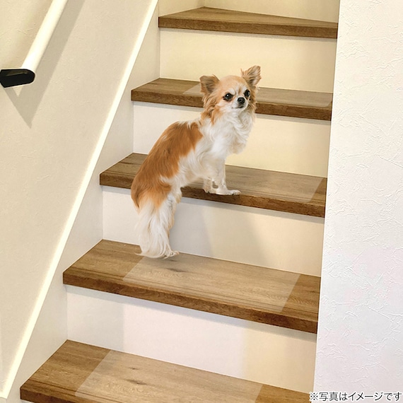 透明階段マット 40×20cm (15枚入り) 2枚目画像