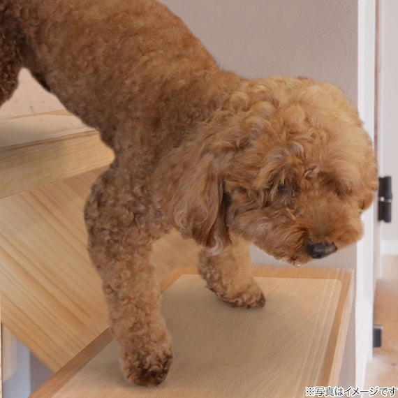 透明階段マット 40×20cm (15枚入り) 3枚目画像