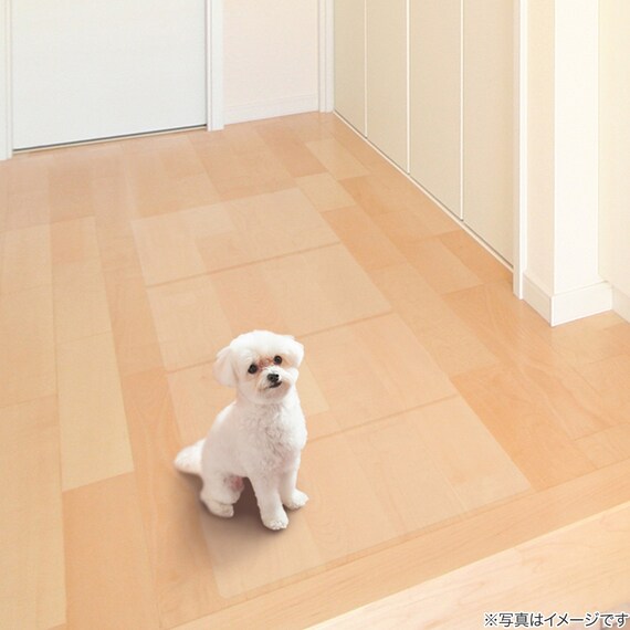 透明階段マット 40×20cm (15枚入り) 4枚目画像