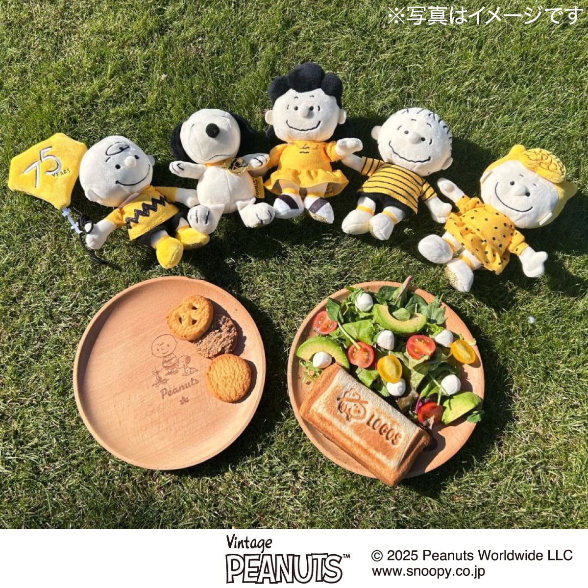 LOGOS SNOOPY（PEANUTS 75years）木製プレート | ニトリネット