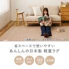 【日本製】カットパイルの軽量ラグ 176×176cm(グリーン) 3枚目画像