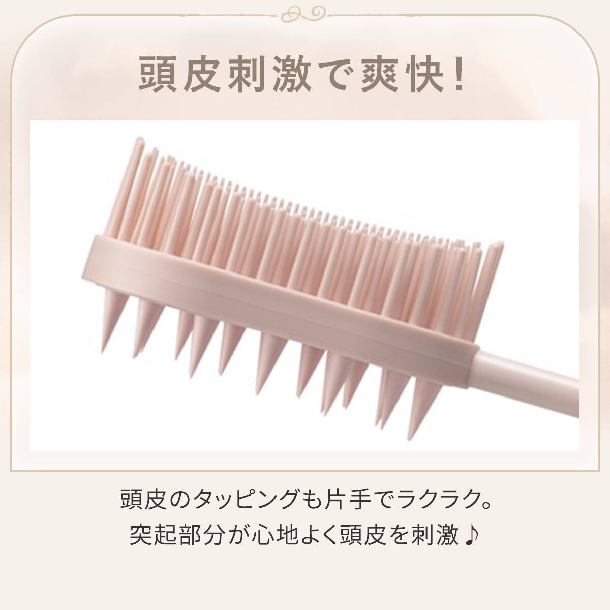 スカルプ＋デタングルブラシ | ニトリネット【公式】 家具・インテリア通販