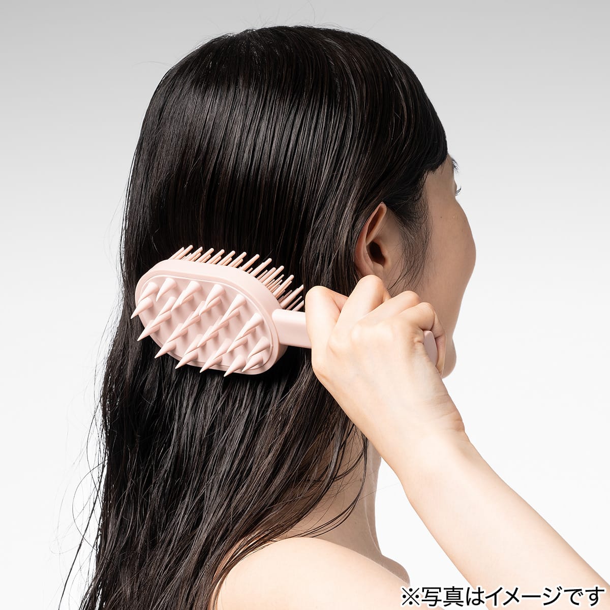 スカルプ＋デタングルブラシ | ニトリネット【公式】 家具・インテリア通販