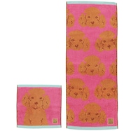 キャリータオル&スキニータオル 2点セット (トイプードル)