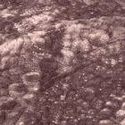 表裏で異なる柄が楽しめる起毛座布団カバー 55×59cm(PDR PU) 8枚目画像