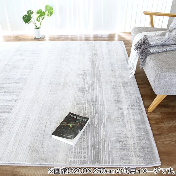 ベルギー製 高密度ウィルトンラグ(240×330cm RPS/グレー) 2枚目画像