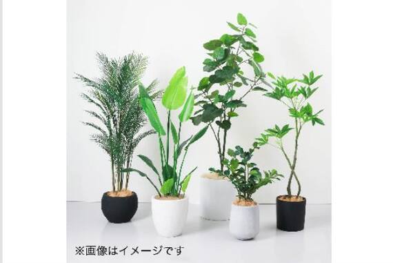 スライダー画像