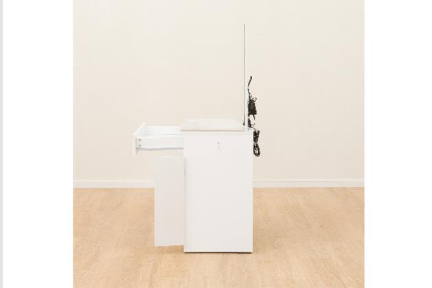 ｾﾗｲﾁﾒﾝｷｮｳﾄﾞﾚｯｻｰWHOS331LED | ニトリネット【公式】 家具・インテリア通販