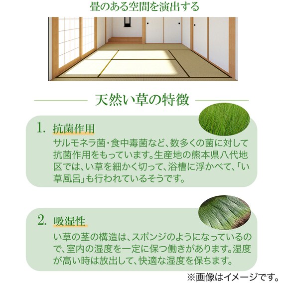 い草畳収納ユニット (H600 DBR) 3枚目画像