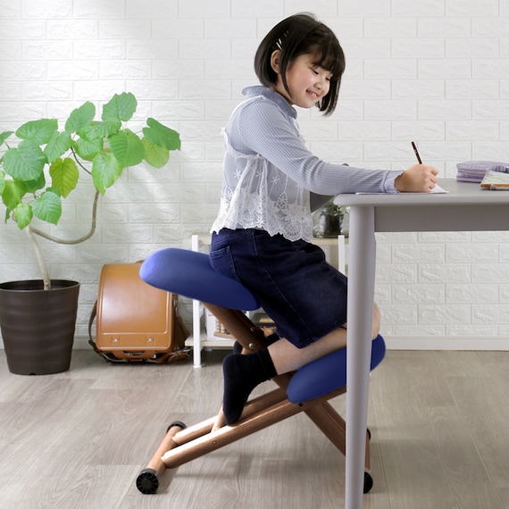 北欧風スタイルチェア (NV) 2枚目画像