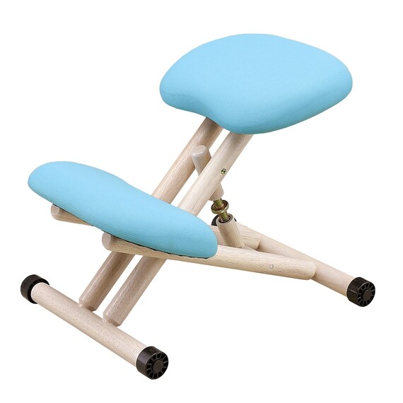 北欧風スタイルチェア (LBL) 1枚目画像