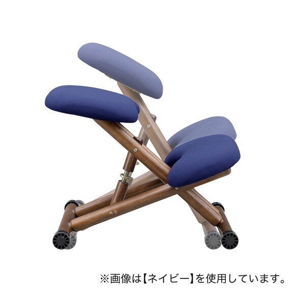 北欧風スタイルチェア (LBL) 6枚目画像