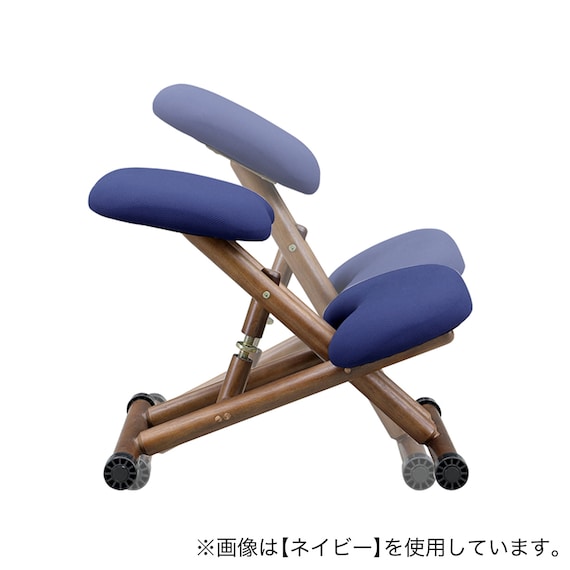 北欧風スタイルチェア (LBL) 6枚目画像