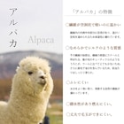 アルパカ毛布 シングル (BE) 2枚目画像