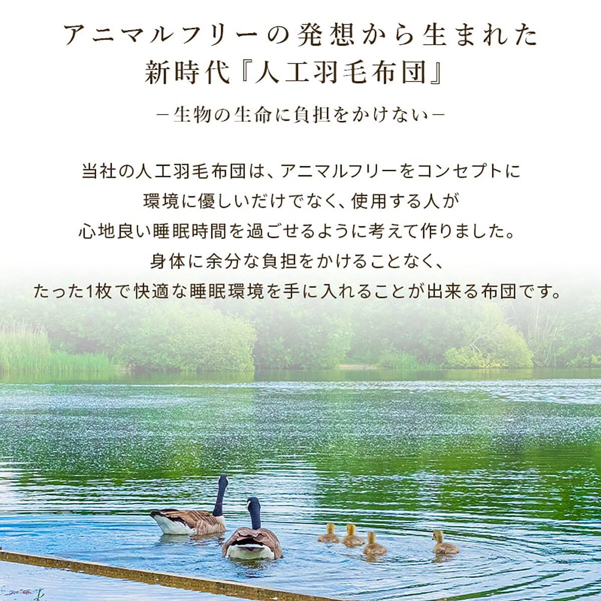 人工羽毛掛布団 吸湿発熱プラス セミダブル（ADP） | ニトリネット