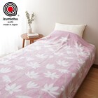 国産マイヤータオルケット(23 S PI) 1枚目画像