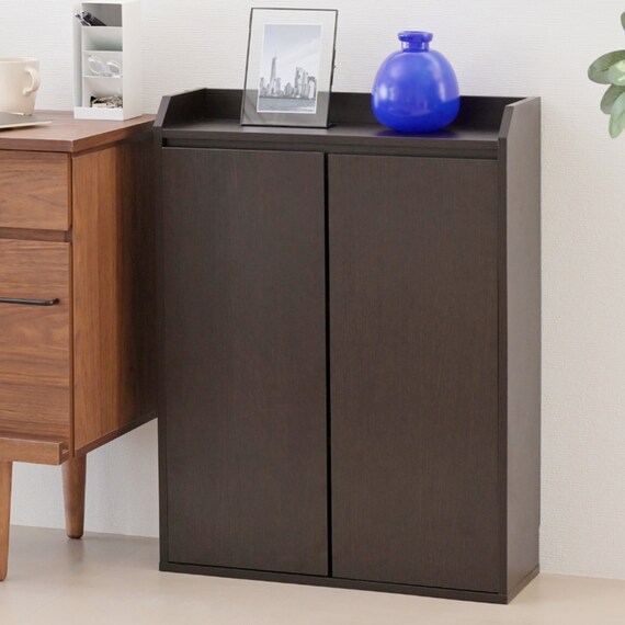 薄型カウンター下収納 扉タイプ (幅60cm DBR) 1枚目画像