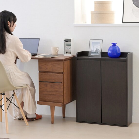 薄型カウンター下収納 扉タイプ (幅60cm DBR) 10枚目画像