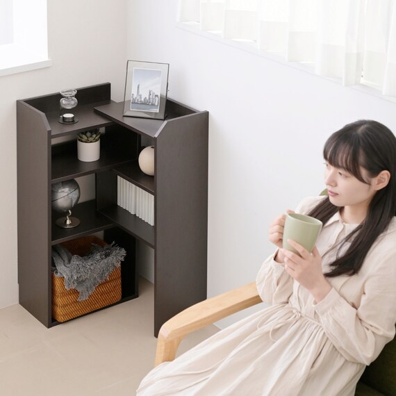 薄型カウンター下収納 伸長式ラック (DBR) 3枚目画像