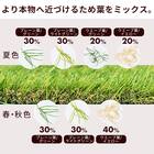 人工芝ロール 毛足3.5cm(2×5m AG) 8枚目画像