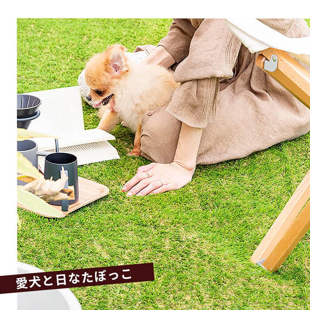 人工芝ロール 毛足3.5cm(2×10m AG) | ニトリネット【公式】 家具