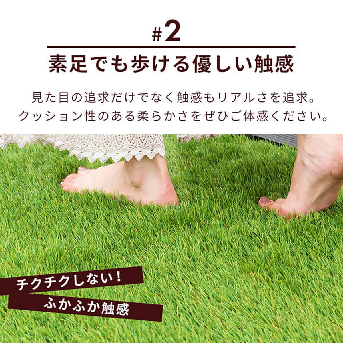 人工芝ロール 毛足3.5cm(2×10m AG) | ニトリネット【公式】 家具