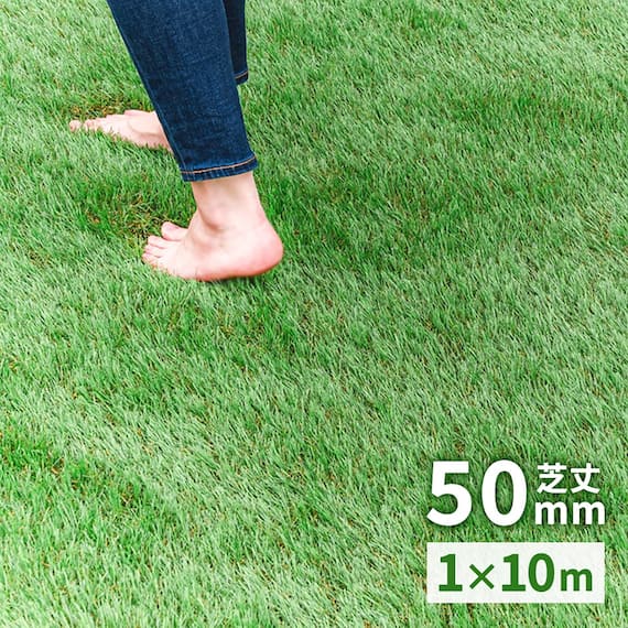 人工芝ロール 毛足5cm(1×10m AG) 1枚目画像