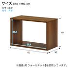 オープンラック 幅60×高さ40cm (OPR BR) 9枚目画像