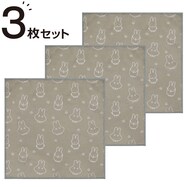 マイクロファイバーふきん 3枚入り(おばけごっこ)