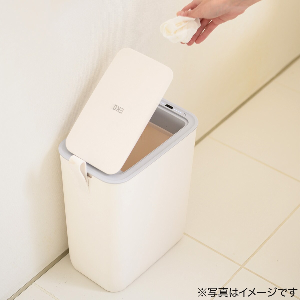 2箱❣️新品未開封　最新　1箱は31900円にします5箱在庫あり 宝箱、新サイズ発売 （ダンボール通販）』 | アースダンボールの