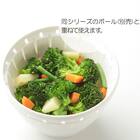 食洗機・電子レンジ対応 防汚・抗菌加工ざるL(リベラリスタ 21cm ホワイト) 3枚目画像
