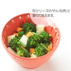 食洗器・電子レンジ対応 防汚・抗菌加工ざるS(リベラリスタ 17cm レッド) 3枚目画像