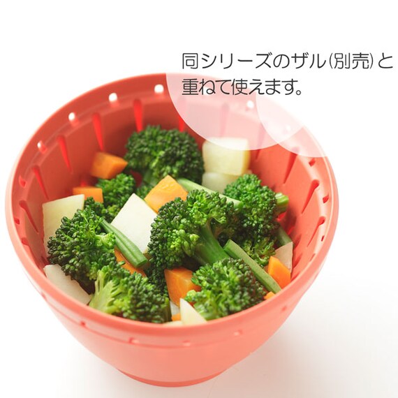 食洗器・電子レンジ対応 防汚・抗菌加工ざるS(リベラリスタ 17cm レッド) 3枚目画像