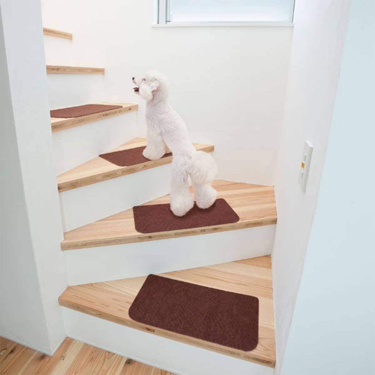 洗える 気になる足音対策階段用吸着マット ブラウン 15枚入り 15マイbr 通販 ニトリネット 公式 家具 インテリア通販 洗える 気になる足音対策階段用吸着マット ブラウン 15枚入り 15マイbr 通販 ニトリネット 公式 家具 インテリア通販