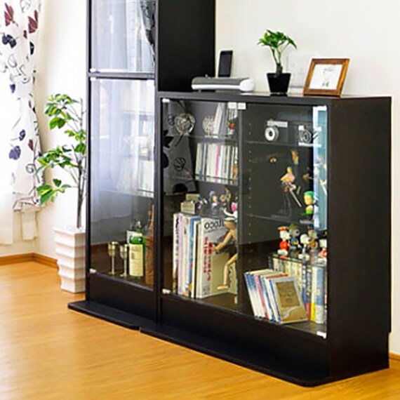 コレクションラック(浅型ロータイプDBR) 2枚目画像