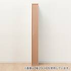 隙間収納 (半透明樹脂扉+板扉タイプ 幅25cm) 8枚目画像