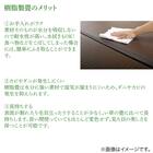 樹脂製畳収納ユニット (L90 NA) 12枚目画像