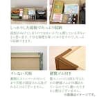 樹脂製畳収納ユニット (L90 NA) 13枚目画像