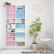1cm間隔で棚板調整ができるラック [浅型タイプ]