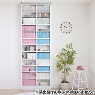 1cm間隔で棚板調整ができるラック [浅型タイプ]  (ハイタイプ)