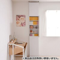 1cm間隔で棚板調整ができるラック [浅型タイプ] (幅42 WH ハイタイプ 扉付)