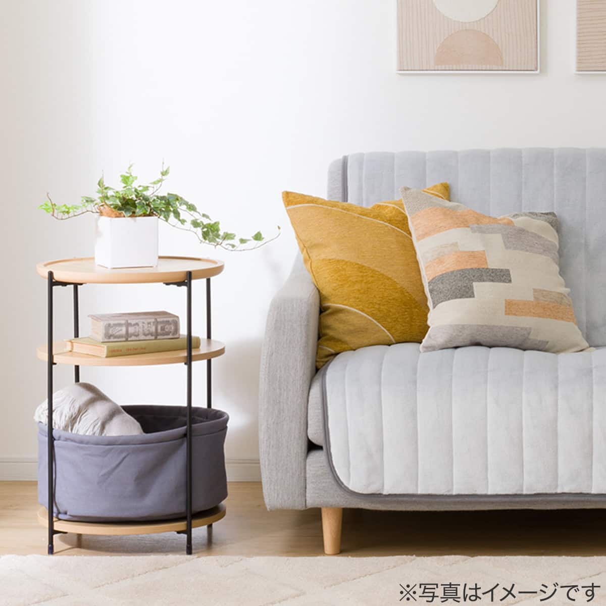 観葉植物】ヘデラヘリックス・バリエガータ | ニトリネット【公式
