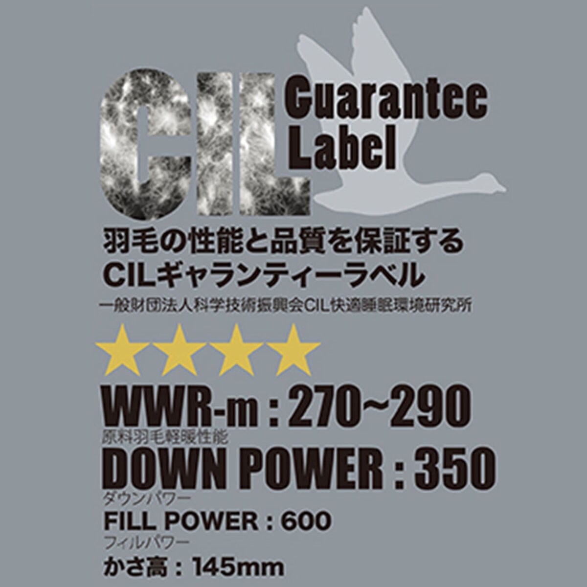 最短翌日出荷】ホワイトダックダウン90% 羽毛布団(ムーン