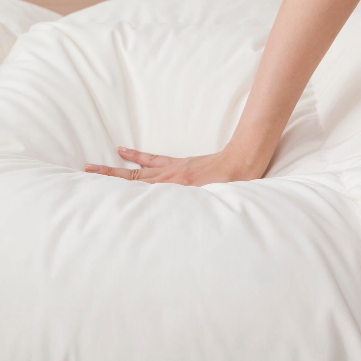 ニトリ　ダウン布団 楽天市場】日本製 ホワイトダックダウン50% 羽毛布団 （ムーン