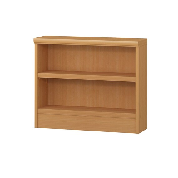 奥行19cm スリムタイプ【タフ棚板】 (幅45-59cm×高さ49cm) 1枚目画像