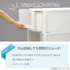 【ネット限定色】【奥行55cm】クローゼット用フィッツユニットケース (幅45cm×高さ20cm アイボリー) 4枚目画像
